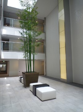 ロビー　ロビー