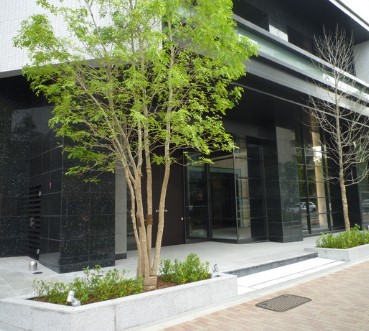 エントランス　エントランス