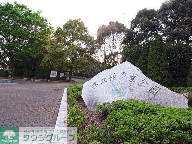 公園　柏の葉公園（公園）まで1400m