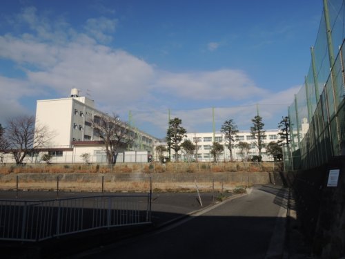 中学校　横浜市立豊田中学校（中学校）まで708m