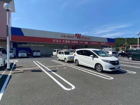 ドラックストア　ドラッグストアウェルネス倉吉南店（ドラッグストア）まで250m