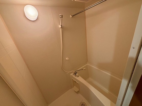 バス・シャワールーム　※別部屋の写真です