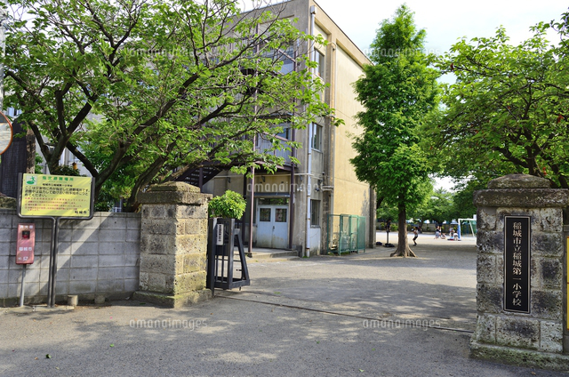 小学校　稲城市立稲城第一小学校（小学校）まで441m