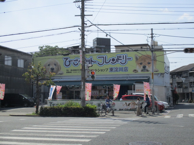 その他　ひごペットフレンドリー 東淀川店（その他）まで66m