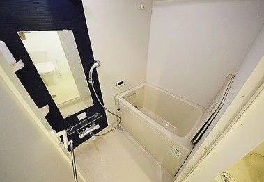 都営三田線 白金高輪駅 徒歩2分 11階建 築14年の風呂写真