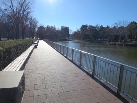 その他　中央公園（その他）まで1100m