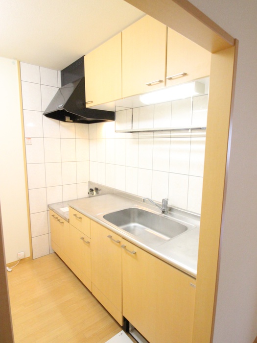 キッチン　※同系タイプ他号室の写真です。