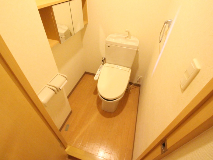 トイレ　※同系タイプ他号室の写真です。