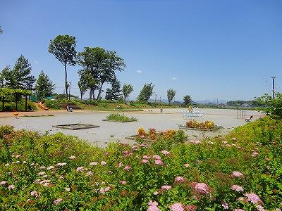 【相模原市中央区淵野辺本町のマンションの公園】