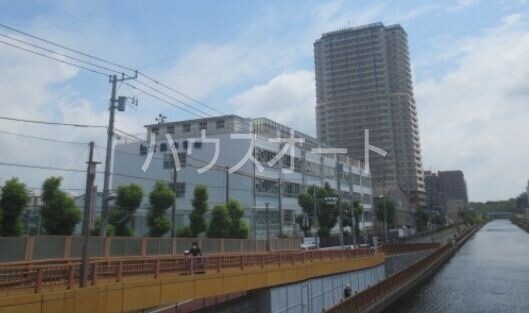 中学校　江東区立大島西中学校（中学校）まで495m