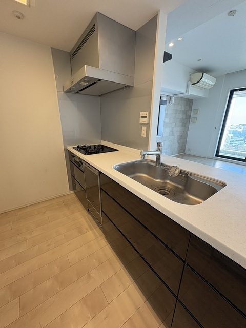 キッチン　食洗機、浄水器、ディスポーザー