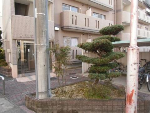 庭　庭（イメージ）