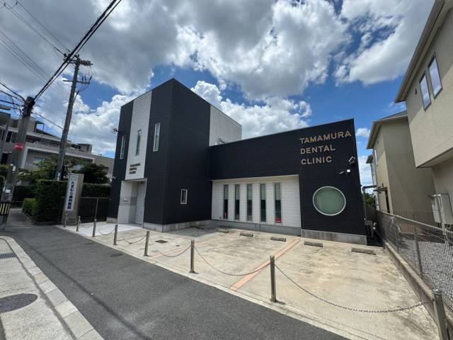 その他　歯医者（その他）まで202m