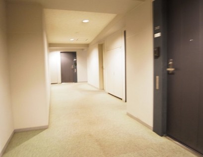 その他共有部分　インペリアル南麻布サテライト棟