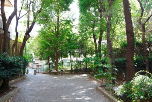 公園　薬園坂緑地（公園）まで319m