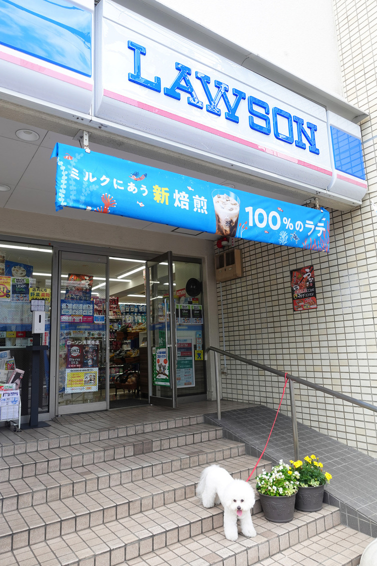 コンビニ　ローソン天現寺店（コンビニ）まで79m
