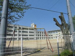 小学校　岸和田市立東光小学校（小学校）まで300m