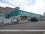 ドラックストア　エバグリーン広瀬店（ドラッグストア）まで950m