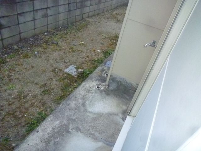 庭