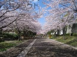 公園　おゆみ野はるのみち公園（公園）まで380m