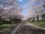 公園　おゆみ野はるのみち公園（公園）まで380m
