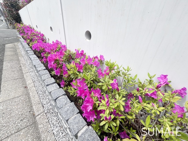 その他　植栽です☆