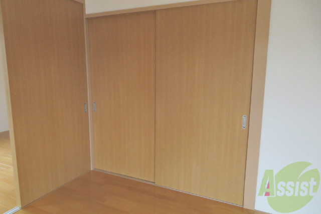 収納　クローゼットです。奥行もしっかり有ります。