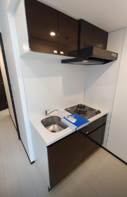 キッチン　ＧＥＮＯＶＩＡ両国VI　ｇｒｅｅｎ　ｖｅｉｌ