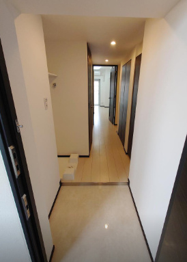 玄関　ＧＥＮＯＶＩＡ両国VI　ｇｒｅｅｎ　ｖｅｉｌ