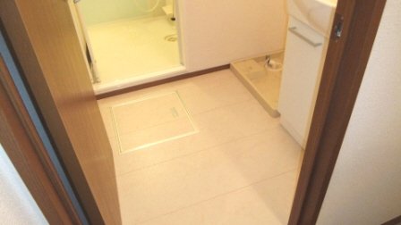 その他　シャンプードレッサー付きの洗面台です