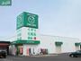 ドラックストア　ザグザグ西長瀬店（ドラッグストア）まで207m
