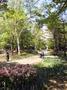 その他　円山公園（その他）まで142m
