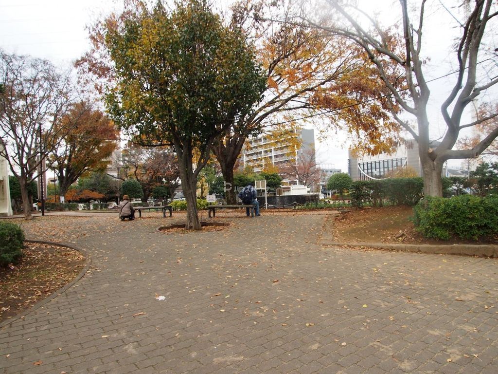 公園　天沼弁天池公園（公園）まで2330m
