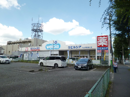 ドラックストア　ウエルシア 八王子東浅川店（ドラッグストア）まで536m