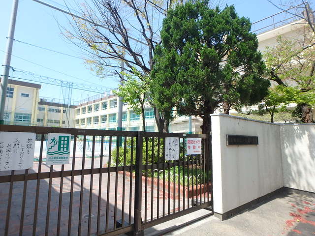 小学校　葛飾区立小松南小学校（小学校）まで317m