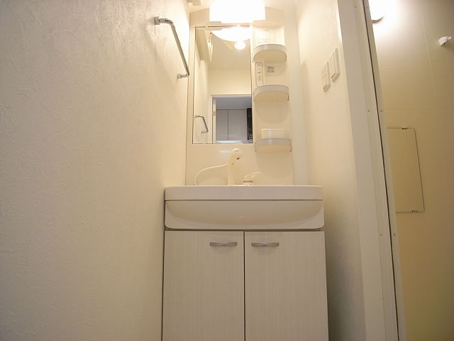 洗面設備　シャンプードレッサー（写真は別号室のものです）