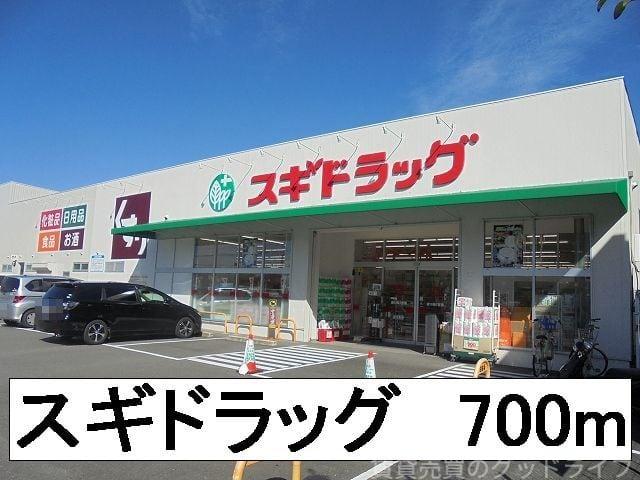 ドラックストア　ドラックストア（ドラッグストア）まで753m