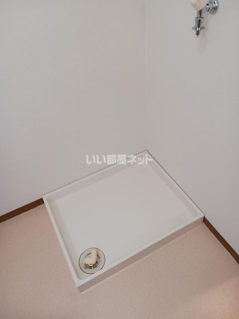 STAR DREAMのその他写真
