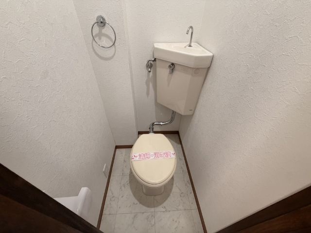 ビアスナワテのトイレ写真