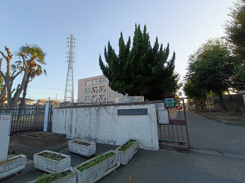 中学校　草加市立新栄中学校（中学校）まで768m