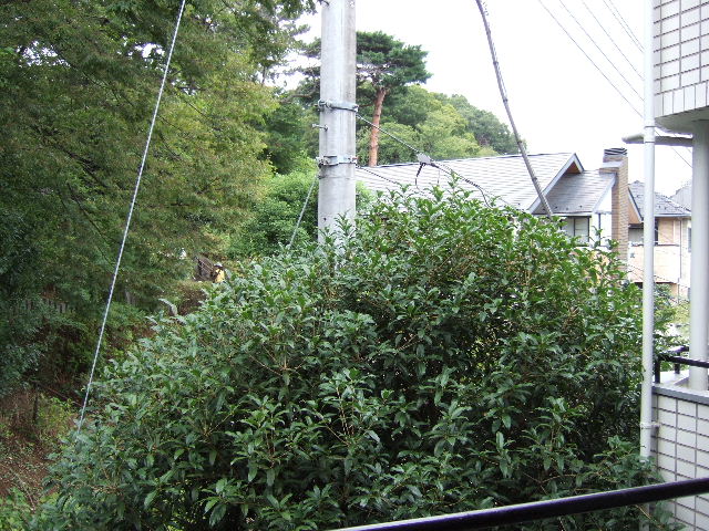 ネオハイシティ田園調布のその他写真