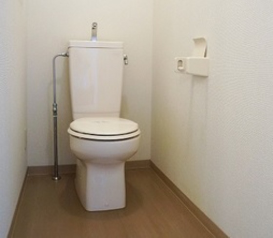 トイレ　他号室のお写真です