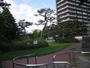 公園　桜美公園（公園）まで500m