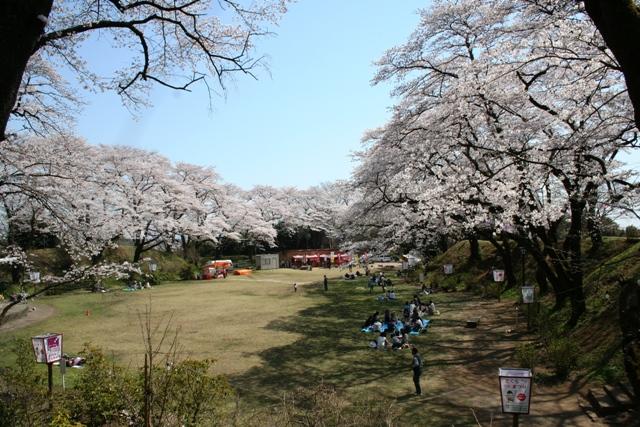 【大田原市城山のマンションの公園】