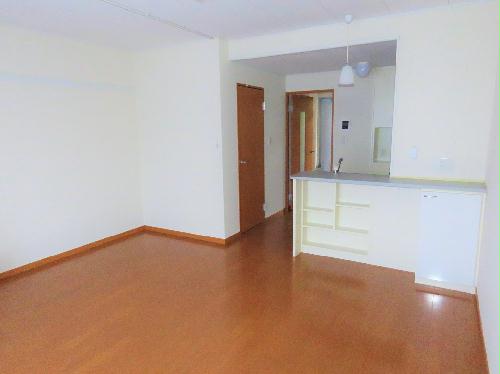 居室・リビング　カウンターキッチンのお部屋です