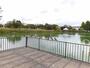 公園　弁天池公園（公園）まで750m