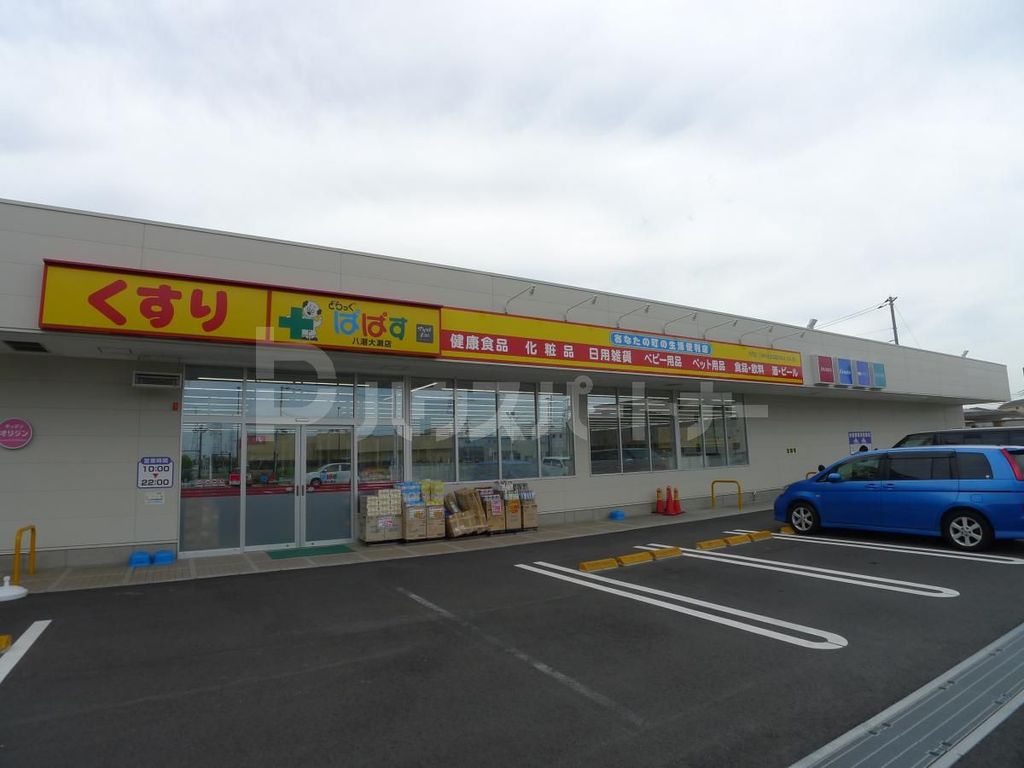 ドラックストア　どらっぐぱぱす八潮大瀬店（ドラッグストア）まで1540m