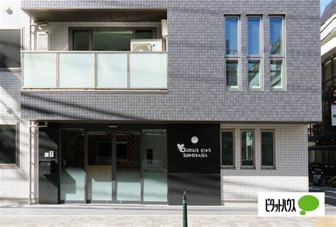 幼稚園・保育園　クオリスキッズ水道橋保育園（幼稚園・保育園）まで273m