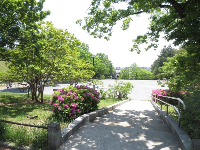 公園　新石川公園（公園）まで335m