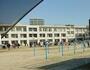 小学校　尼崎市立長洲小学校（小学校）まで291m
